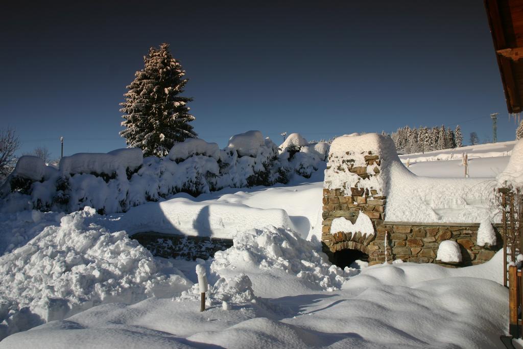 B&B Na Kopecku Rokytnice nad Jizerou Exterior foto