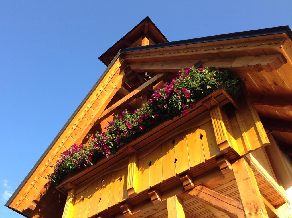 B&B Na Kopecku Rokytnice nad Jizerou Exterior foto